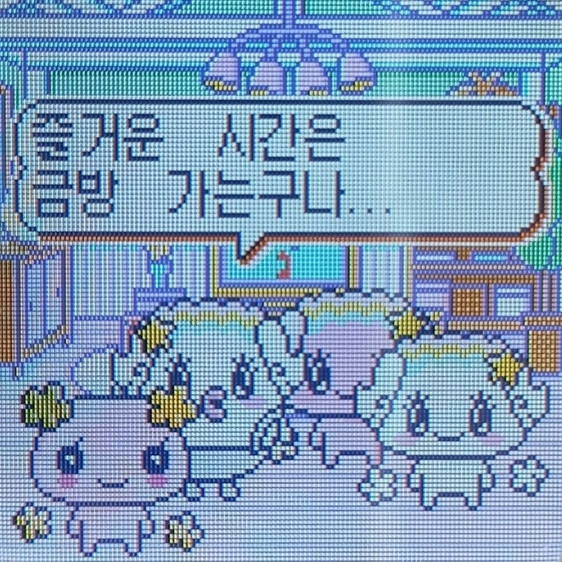 5月