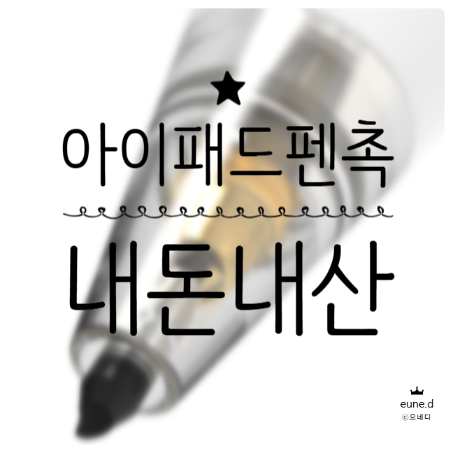 레드빈 Q-FLEX 애플 펜슬 무소음 펜촉 H2PT 솔직 후기 ️