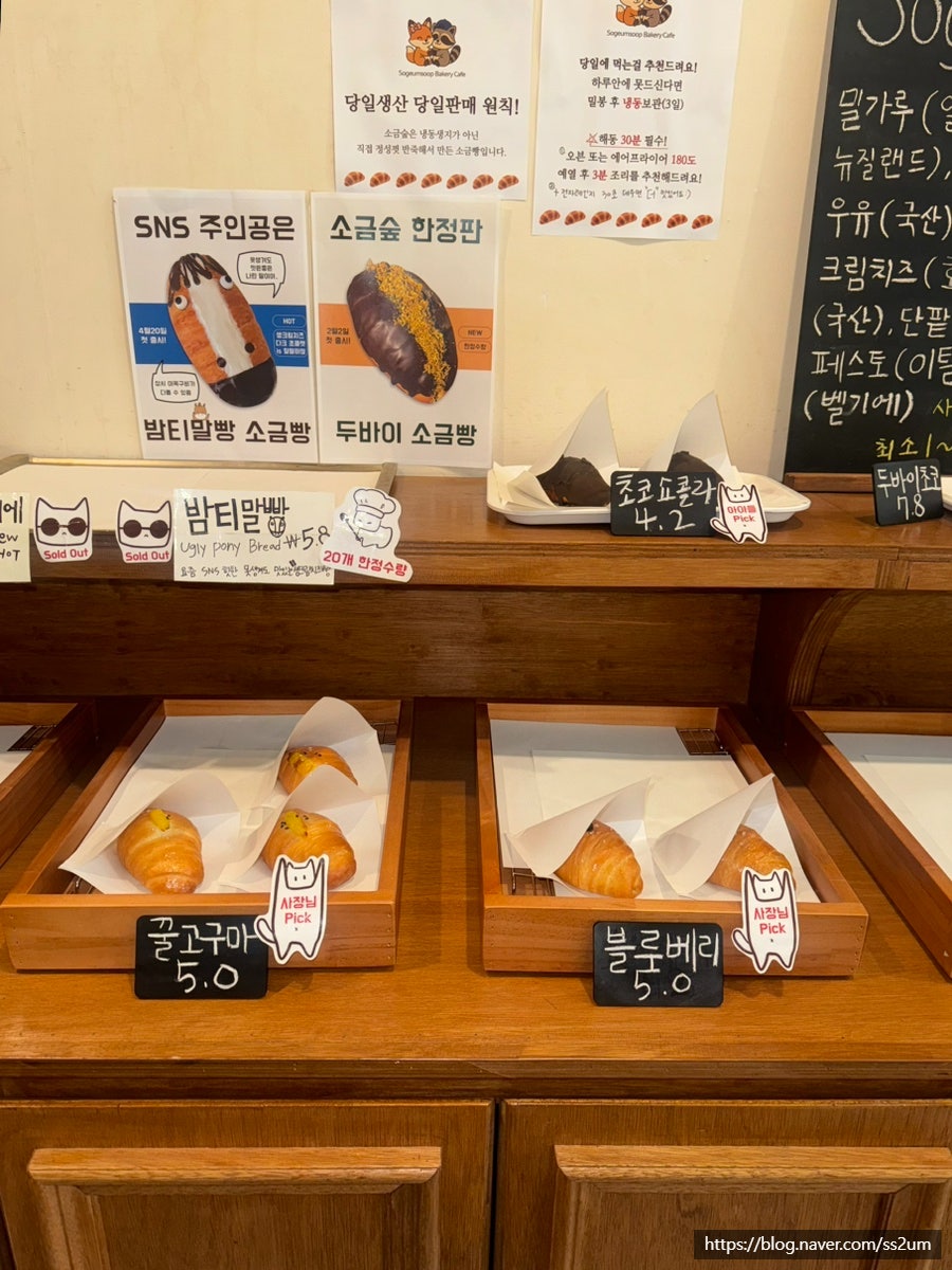 소금숲 사진 4