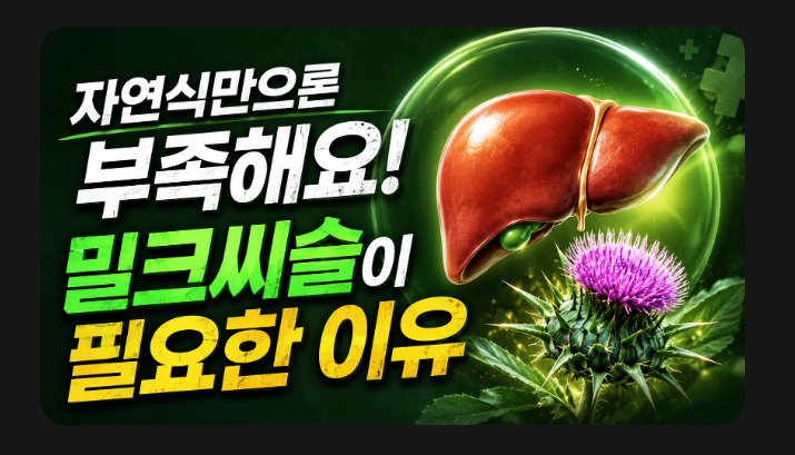 밀크씨슬 실리마린 효능과 차이,간 건강 영양제 고르는 법