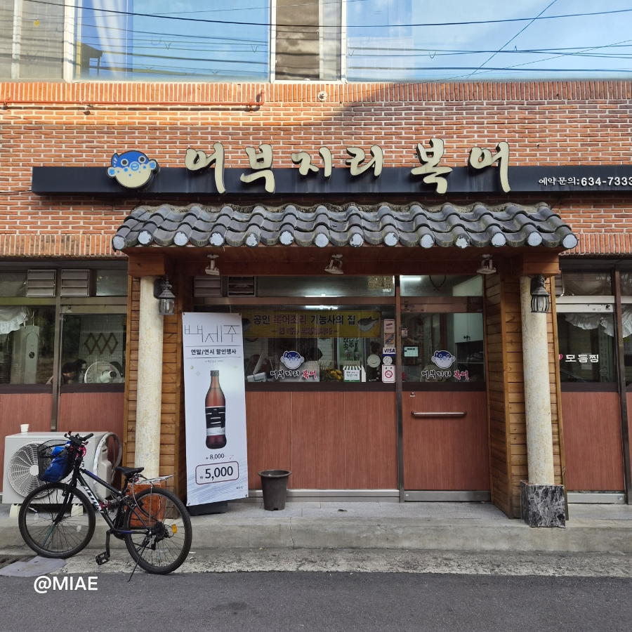 어부지리복어 사진 2