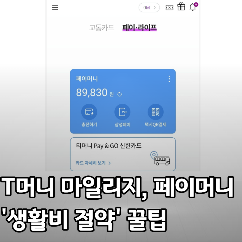 티머니 마일리지 전환 및 페이머니 사용법, '생활비 절약' 삼성페이 결제로 해결!