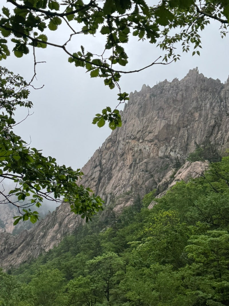 설악산 공룡능선 소공원 원점회귀 코스(초보 꿀팁, 준비물, 화장실)