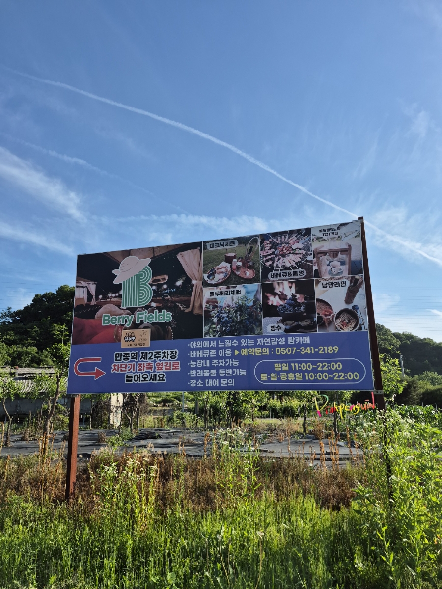 베리필즈 사진 2