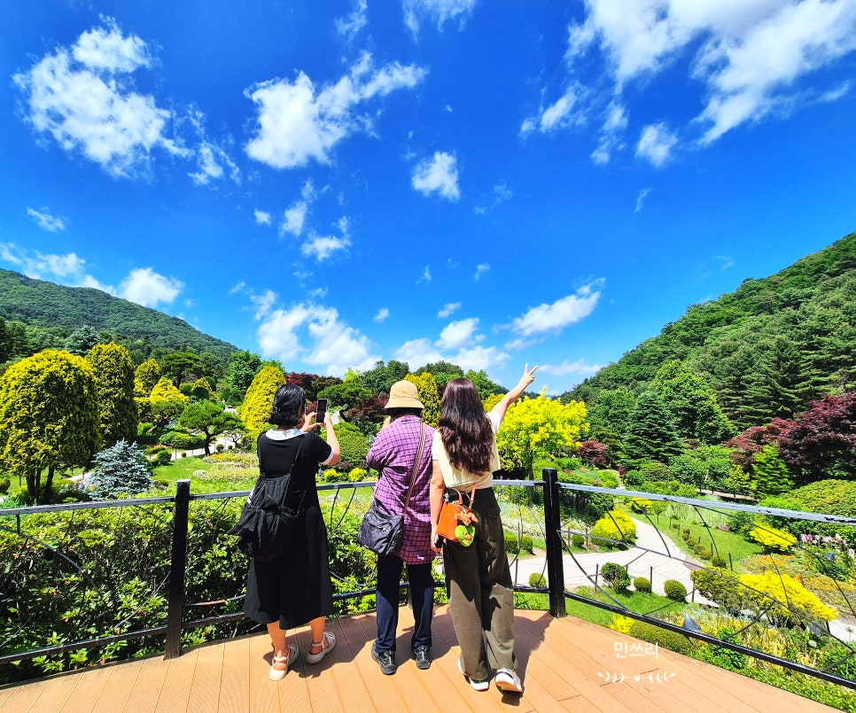 산바라기 사진 1