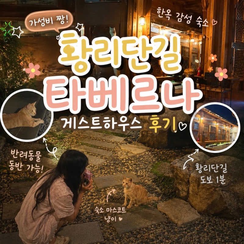 경주 황리단길 숙소 추천 10만원대 애견동반 가능 한옥스테이 타베르나 후기