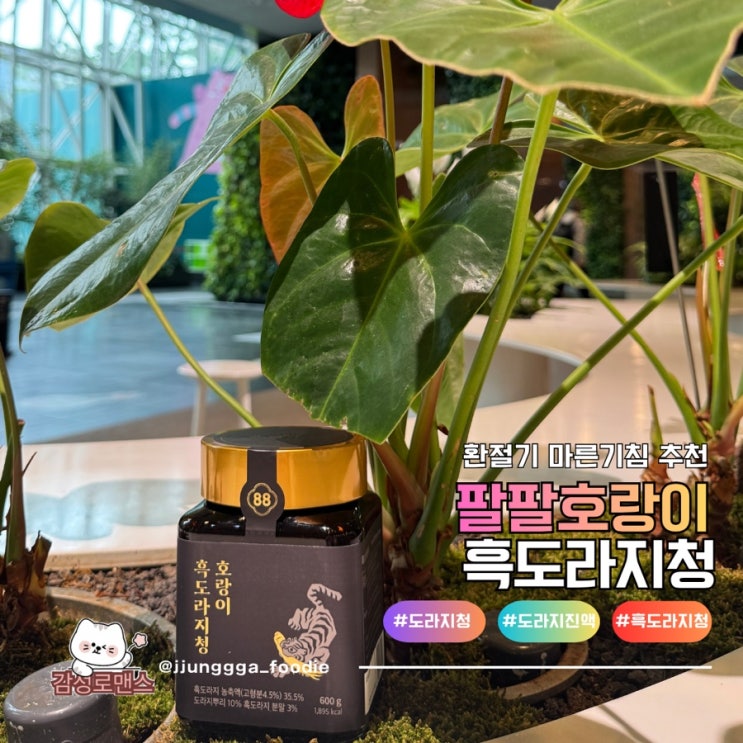  팔팔호랑이 구층구포 국산 약도라지 흑도라지청