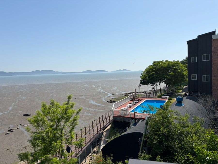 카페갈릴리 사진 4