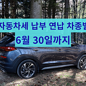 2026년 6월 자동차세 납부 기간, 연납 할인 방법 및 차종별 세금 총정리 (경차, 3800cc, 픽업트럭)