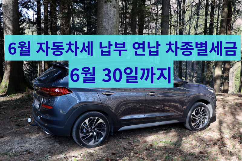 2026년 6월 자동차세 납부 기간, 연납 할인 방법 및 차종별 세금 총정리 (경차, 3800cc, 픽업트럭)