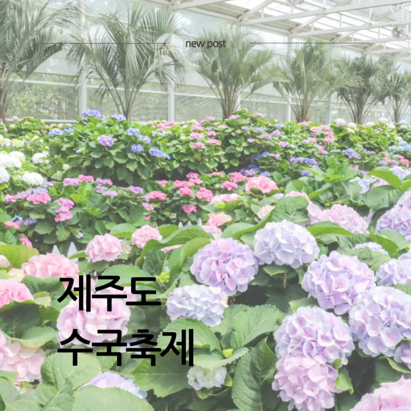 제주도 수국축제 휴애리자연생활공원 2026년 일정·입장료·주차 3가지 핵심 정보