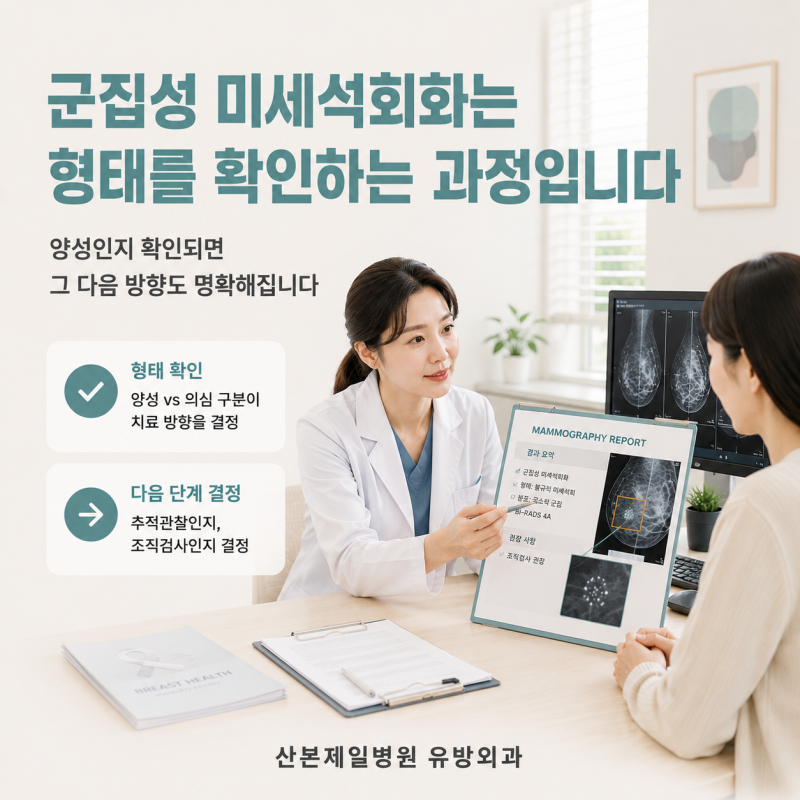 군집성 미세석회화 소견, 전부 유방암일까? 모양으로 악성 구분하는 핵심 꿀팁