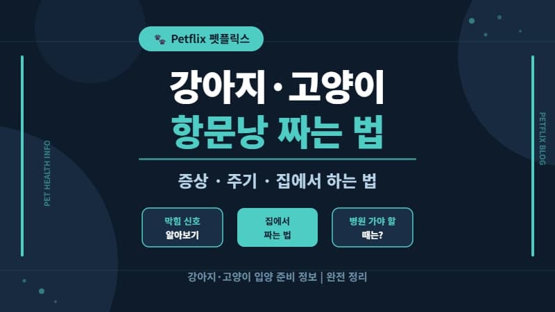 강아지·고양이 항문낭 짜는 법 총정리 증상·주기·집에서 하는 법까지 한번에!