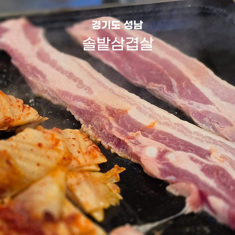 솔밭 사진 1