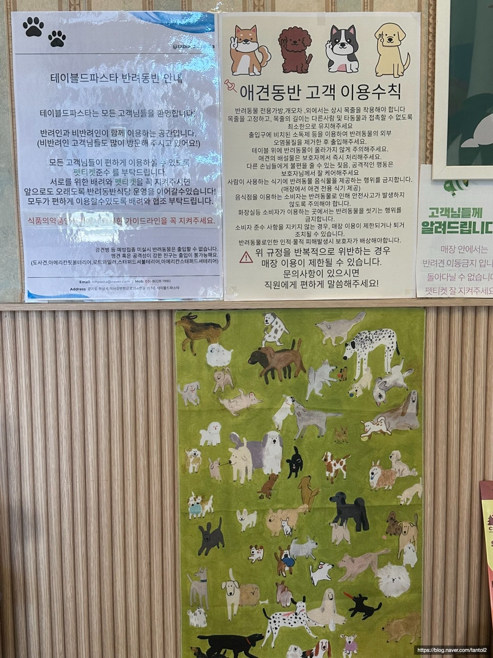 테이블드파스타 사진 4