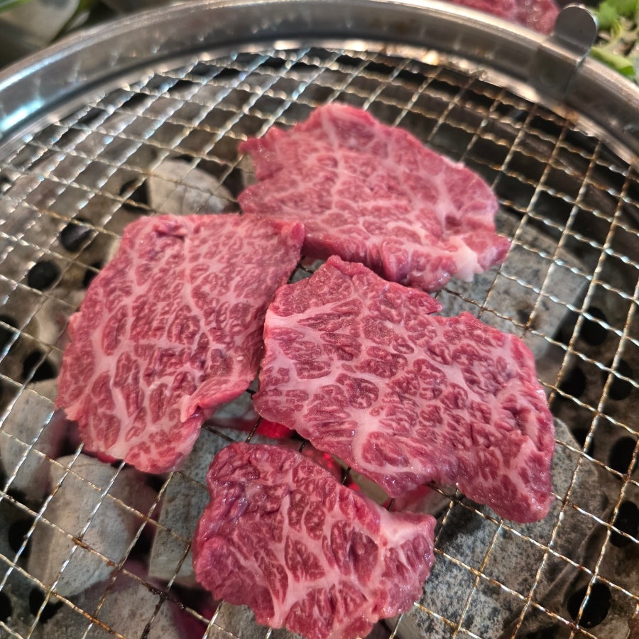 고재한우 사진 2
