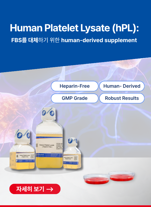  Human Platelet Lysate(hPL)란? MSC 배양을 위한 차세대 Cell Culture Supplement