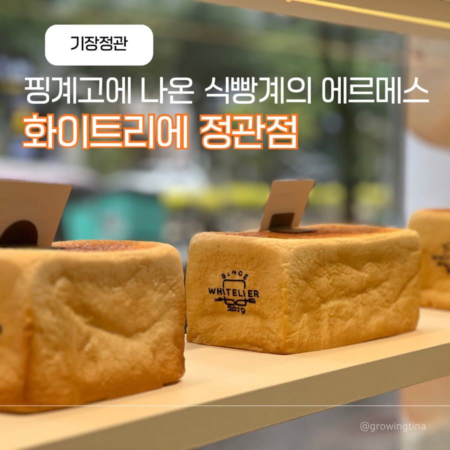 화이트리에 정관점 사진 1