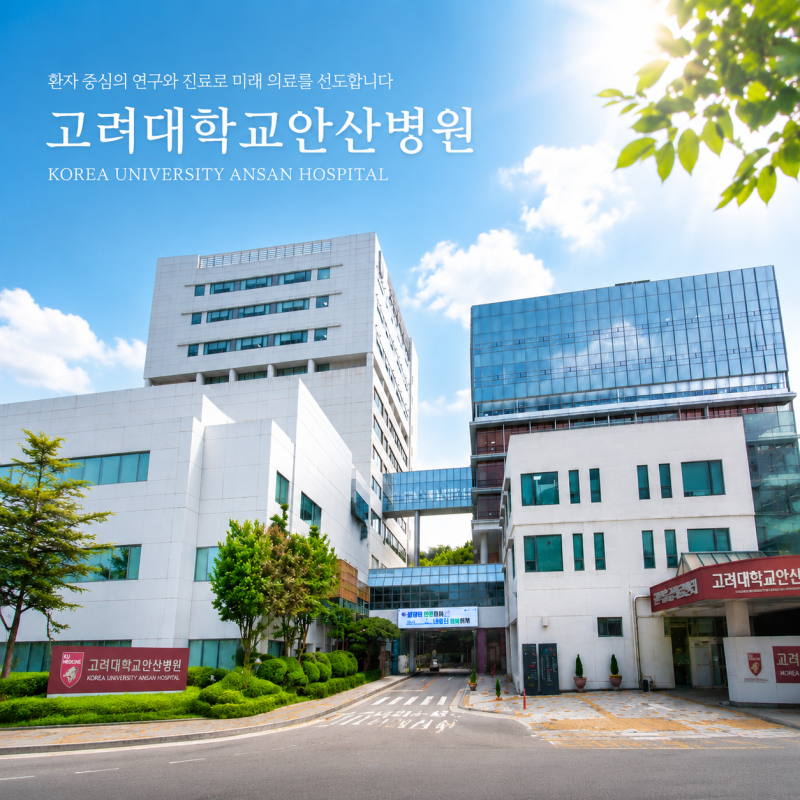 안산 고대병원 병문안 후기｜고려대학교 안산병원 주차비