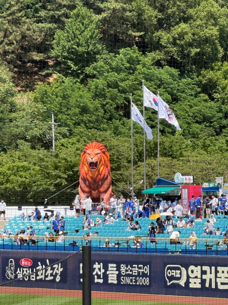 대구 삼성라이온즈파크 직관 후기 원정응원석 1루 1-2구역 16열 1,2 (시야, 주차꿀팁, 먹거리)