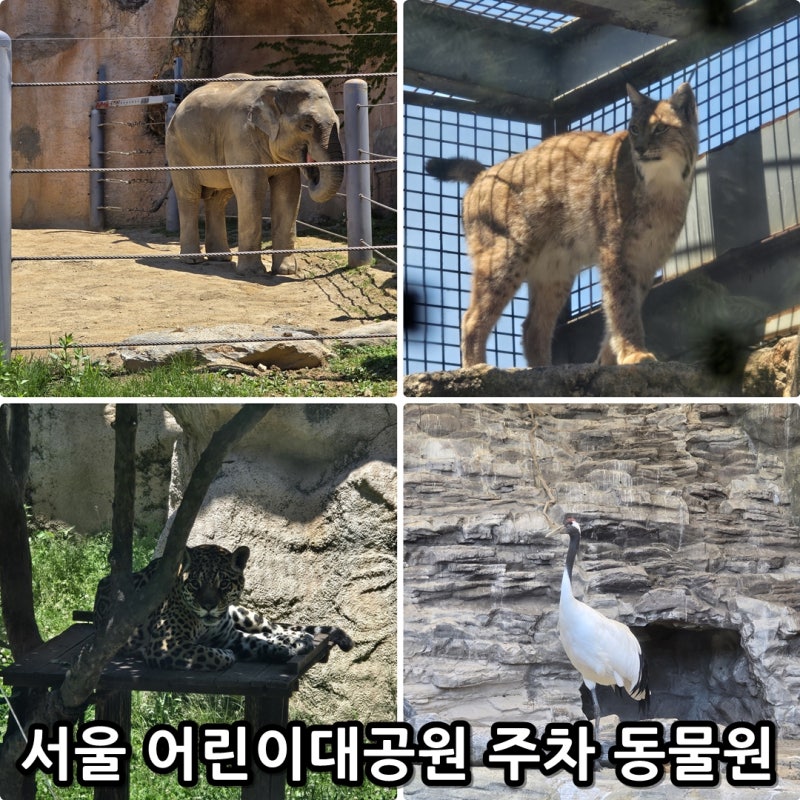 서울 어린이대공원 주차장 동물원 놀이동산 가격 총정리