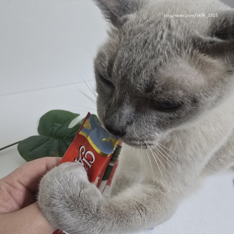 고양이 츄르 추천, 이나바 챠오츄르 닭 가슴살 맛 후기