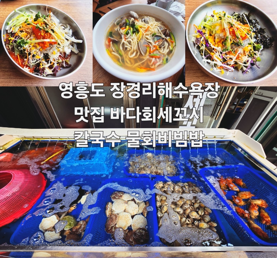 바다회세꼬시 사진 1