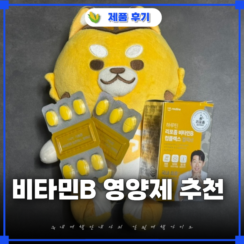 비타민B 영양제 추천 30대가 직접 챙겨먹는 리포좀비타민B