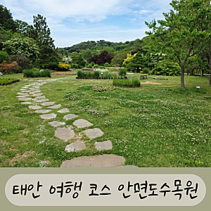 안면도자연휴양림 수목원 꽃지해수욕장 근처 코스 입장료 애견동반