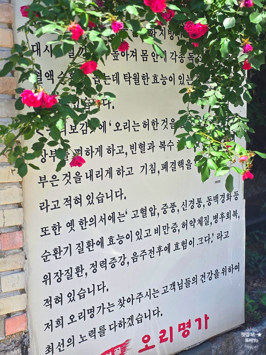 금천골오리명가 사진 3