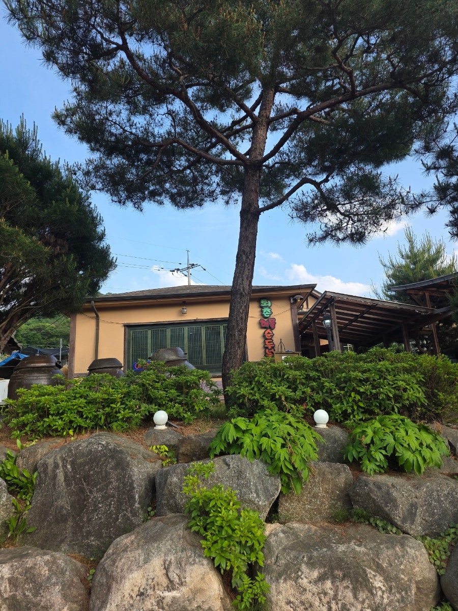 Toechonsundubu photo 3