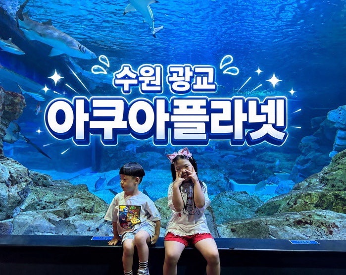 수원 광교 아쿠아플라넷 후기, 경기남부 아이와 함께 가기좋은 실내 추천 입장권 할인팁까지