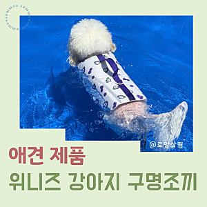 위니즈 강아지구명조끼 애견구명조끼 물놀이 후기