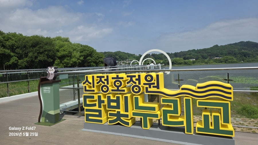 신정호 사진 1