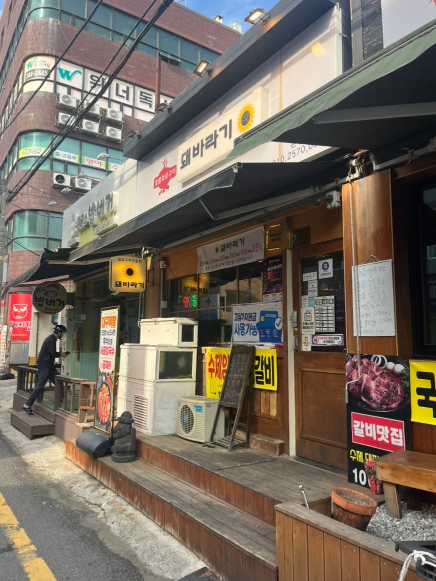 돼바라기 사진 2