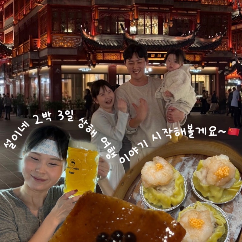 아기랑 상해 2박3일 여행 (상해 여행 준비, 상해 여행 필수 어플, 점도덕, 헤이티, 동방명주, ....