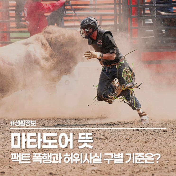  선거철마다 반복되는 마타도어 뜻, 네거티브 뜻과 소름 돋는 차이점