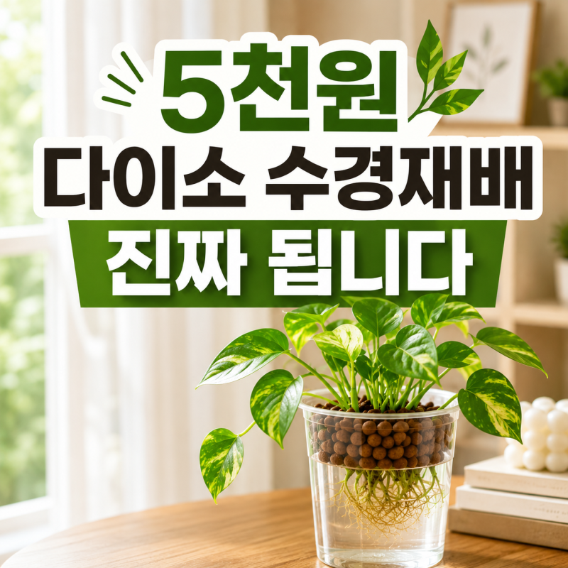 다이소 수경재배 식물 키우기, “물만 넣으면” 될까? 새잎 보고 이유 알았어요