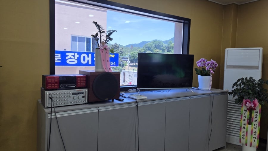 허니문장어 사진 6