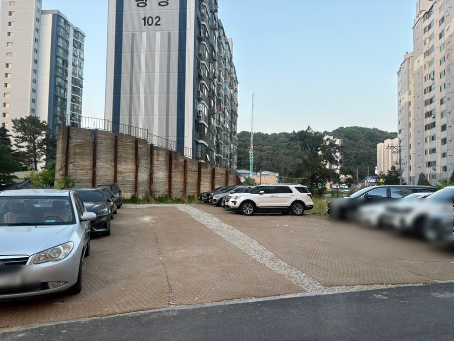 진월정 사진 4