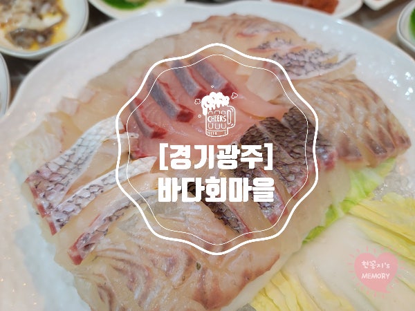 바다회마을 사진 1