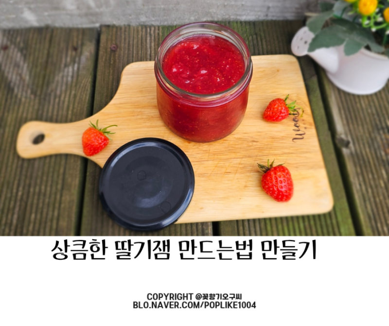 텃밭 제철딸기 수확 아이와 수제 딸기잼 만들기 만드는법 보관 효능