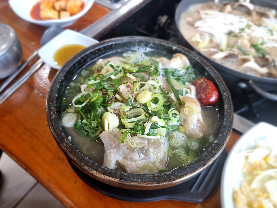 모리 사진 6
