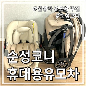 [내돈내산] 순성 코니 휴대용유모차 + 캐리 바구니카시트 = 디럭스 유모차로 변신⁉️ 솔직후....