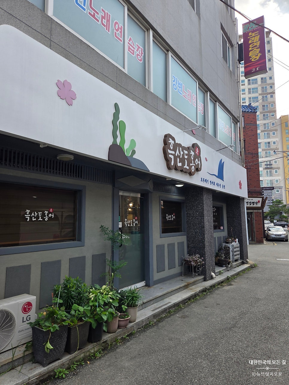 흑산도홍어 사진 1