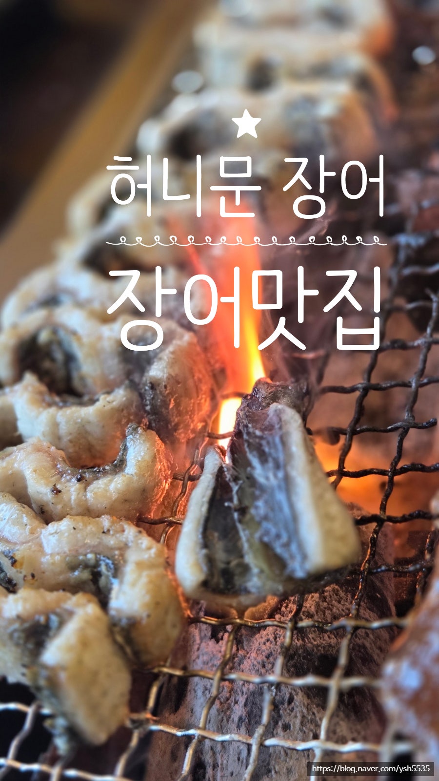 허니문장어 사진 2