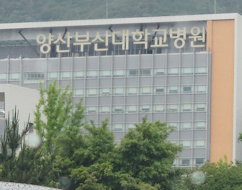 영유아검진 키 작은 아기 양산부산대병원 소아내분비과 진료