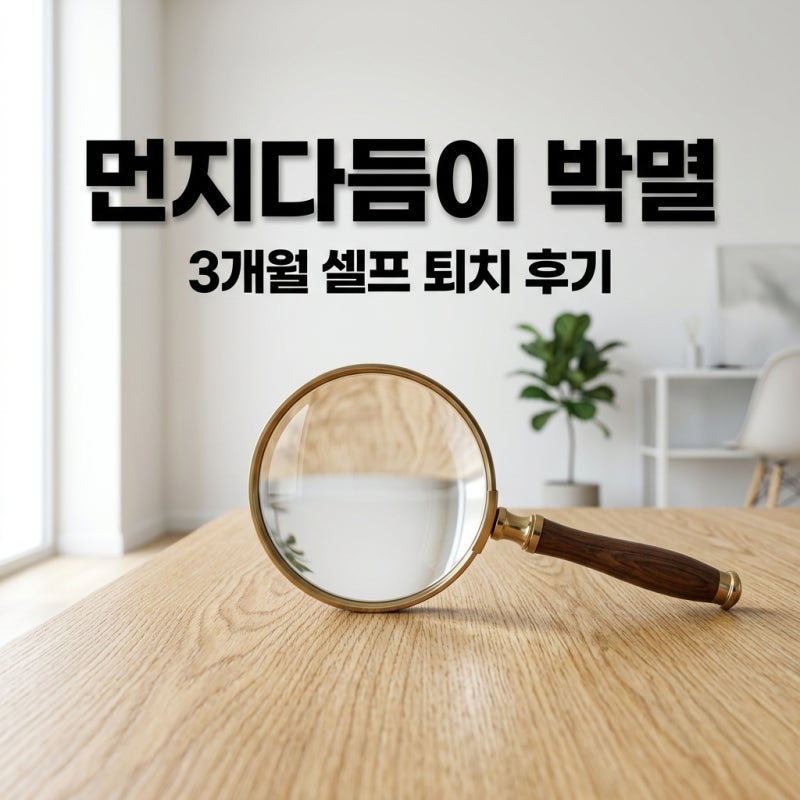 먼지다듬이 퇴치 성공! 업체 없이 박멸 가능한 3단계 관리법