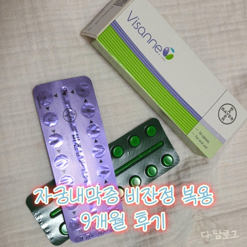 자궁내막증 비잔정 복용 9개월 후기 | 혹 1.04cm로 줄었어요