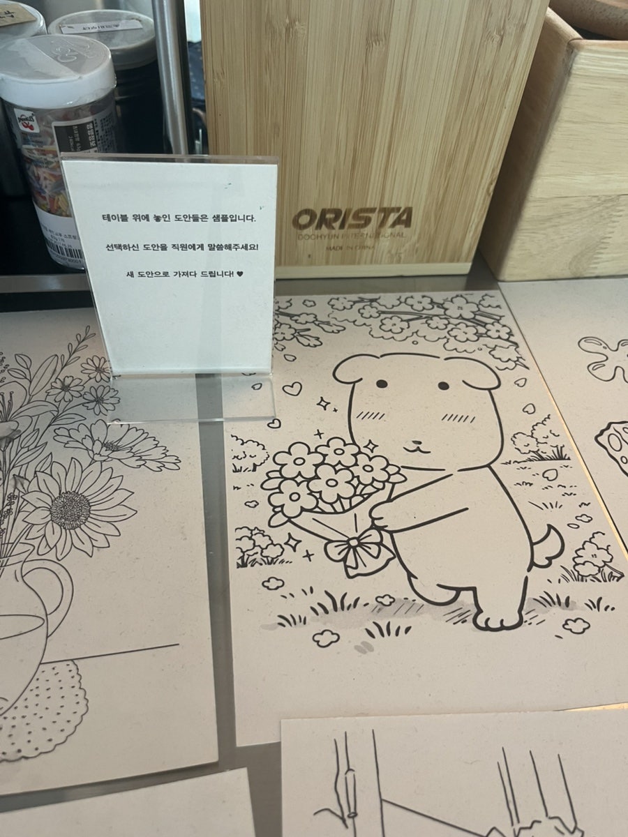요거데이 사진 6